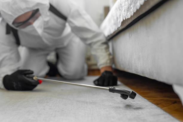 Professional Termite Control technician working in Montgomery, IL