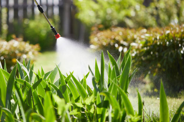24/7 Emergency Termite Control experts in Montgomery, IL