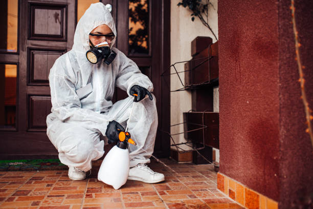 Reliable Termite Control contractor in Montgomery, IL by Nex Pest Control
