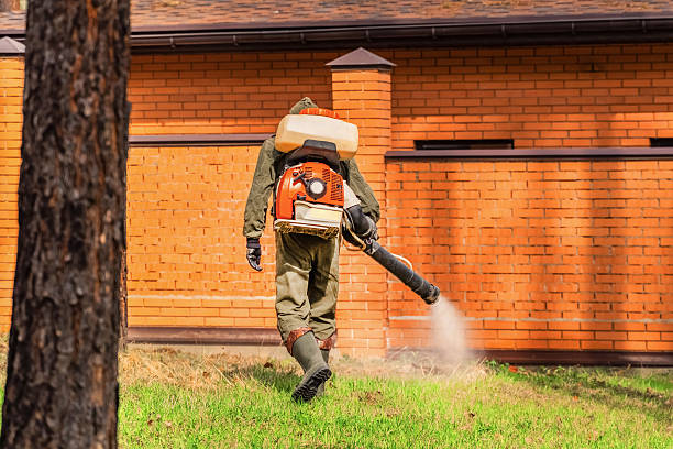 Top rated local Termite Control specialists in Montgomery, IL